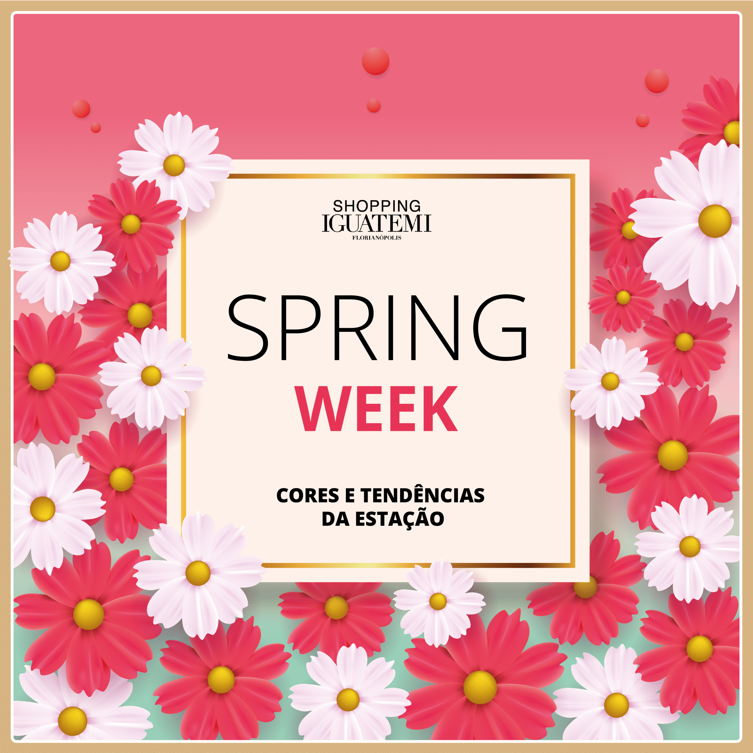 Spring Week Shopping Iguatemi Florianópolis
